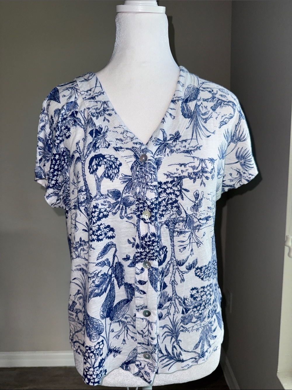 Joie women’s v- neck button front blouse